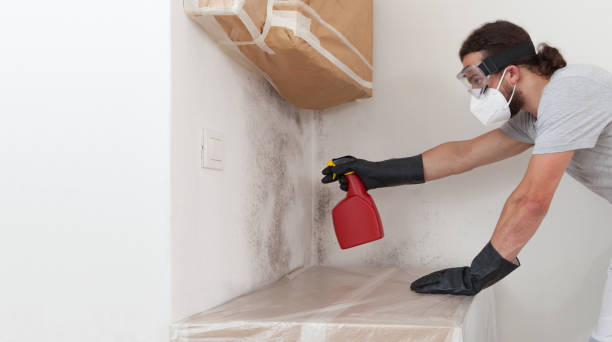 Professional Crawl Space Mold Removal technician working in Hertford, NC